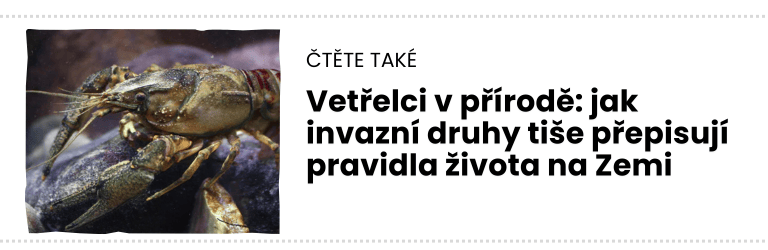 čTĚTE TAKÉ čTĚTE TAKÉ
