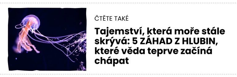 čTĚTE TAKÉ čTĚTE TAKÉ