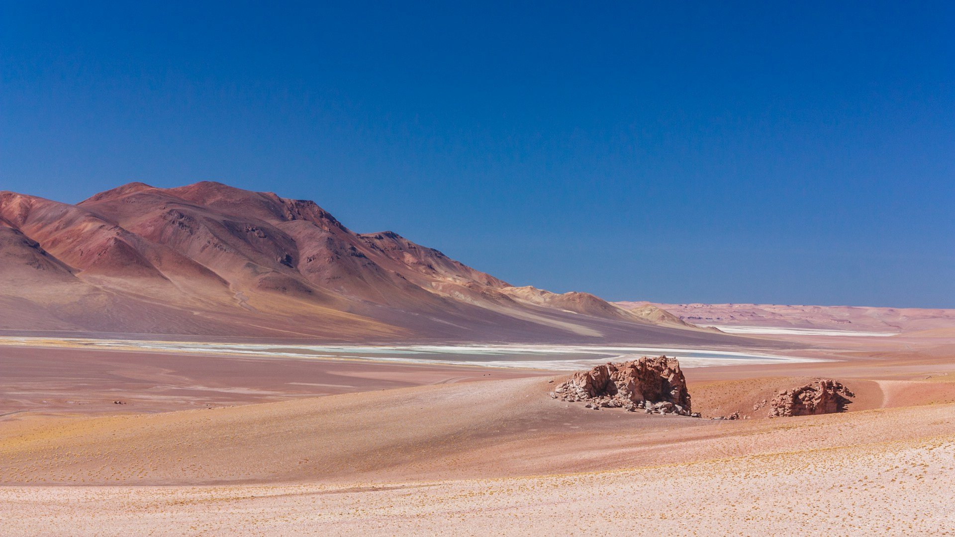 daniele-nabissi-w5RizGHq5_M-unsplash