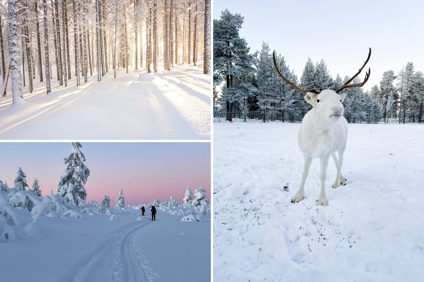 lapland lapland