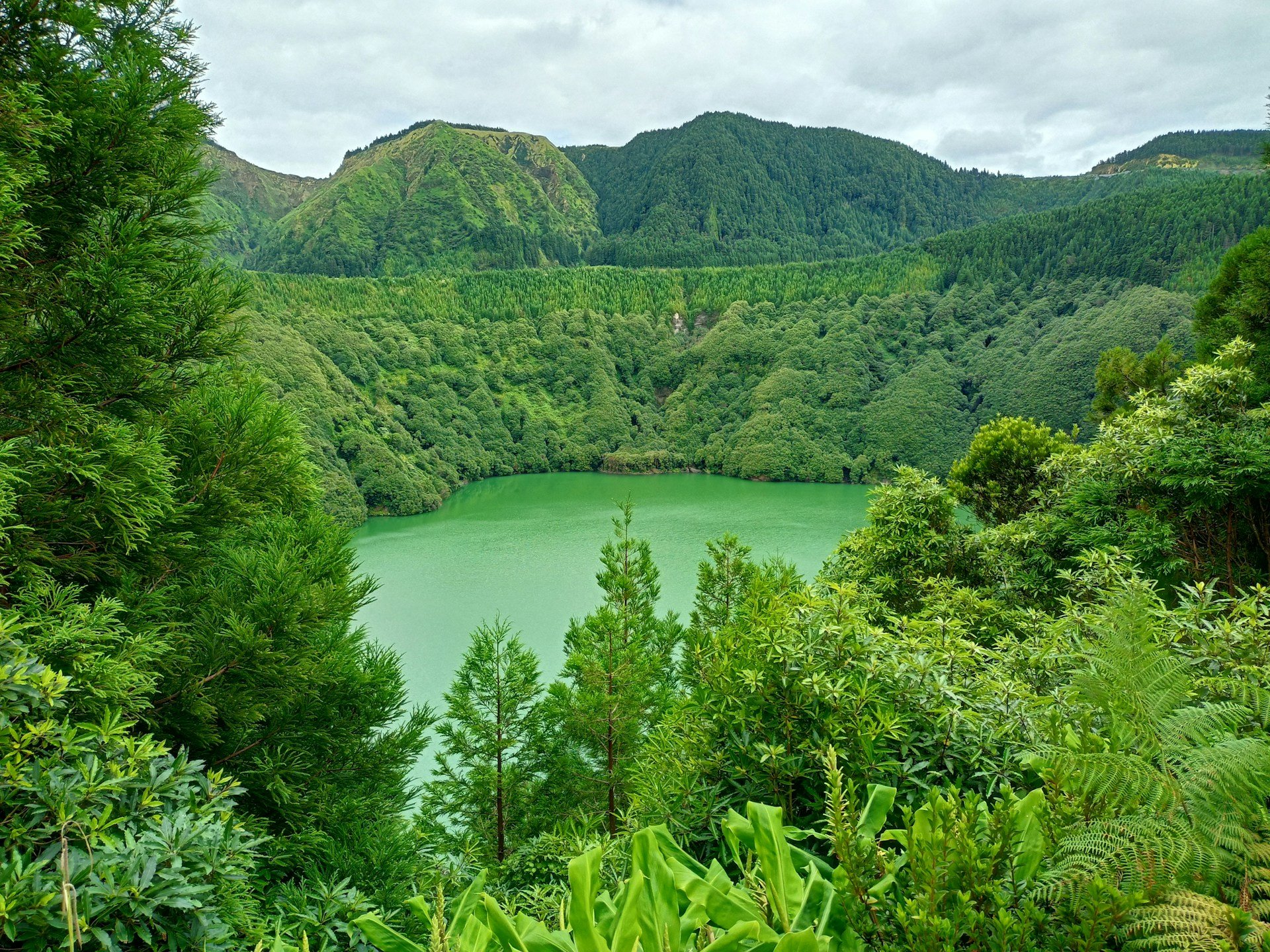 nate-markarian-18vRlqDUPIs-unsplash