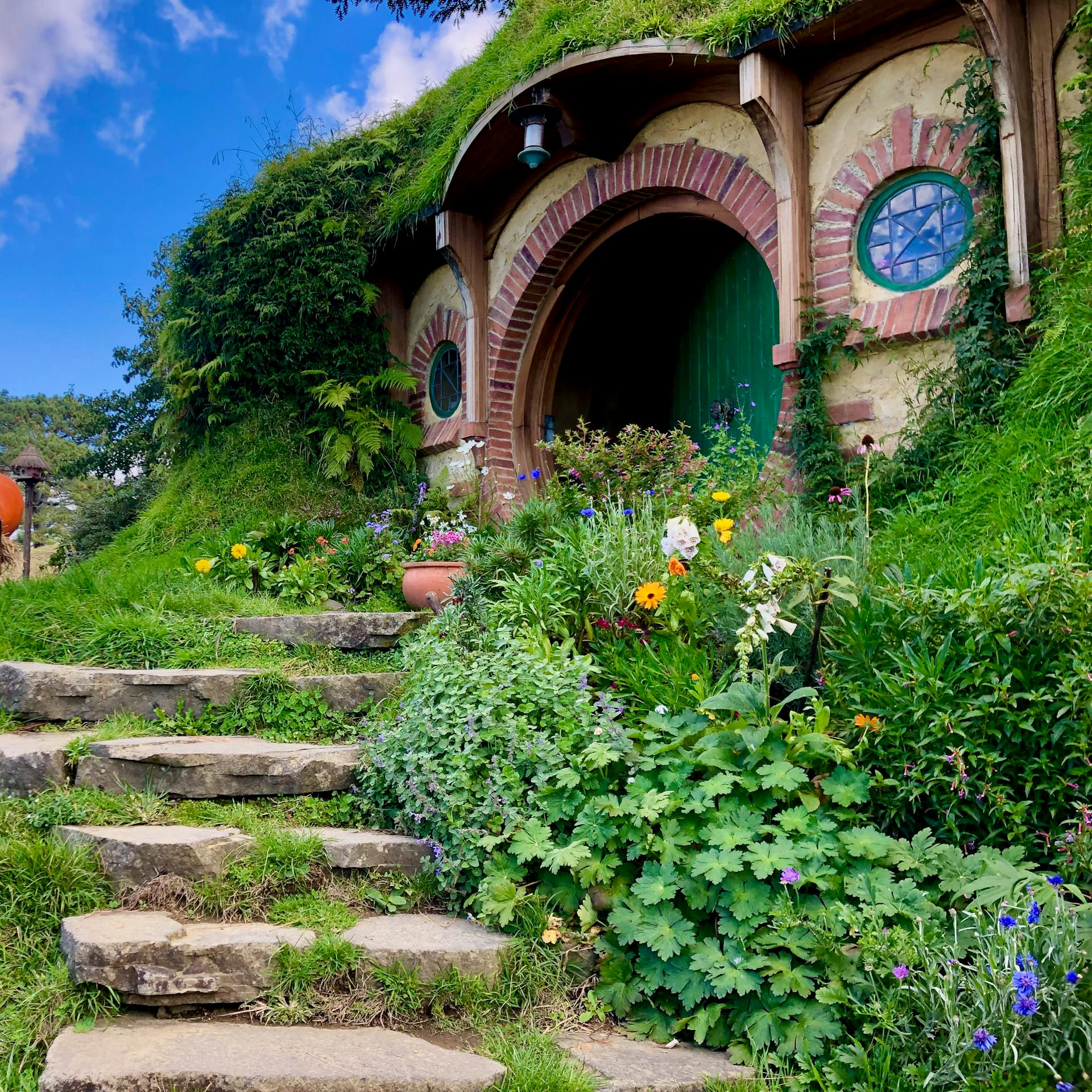 pexels-elijahjcobb-35227204