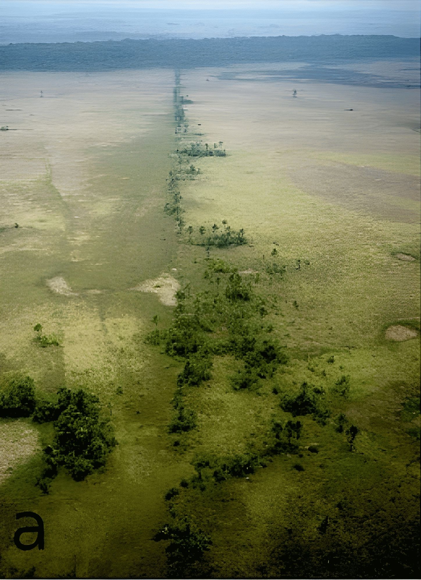 Pre-Columbian_man-made_causeway_in_Llanos_de_Moxos (1)