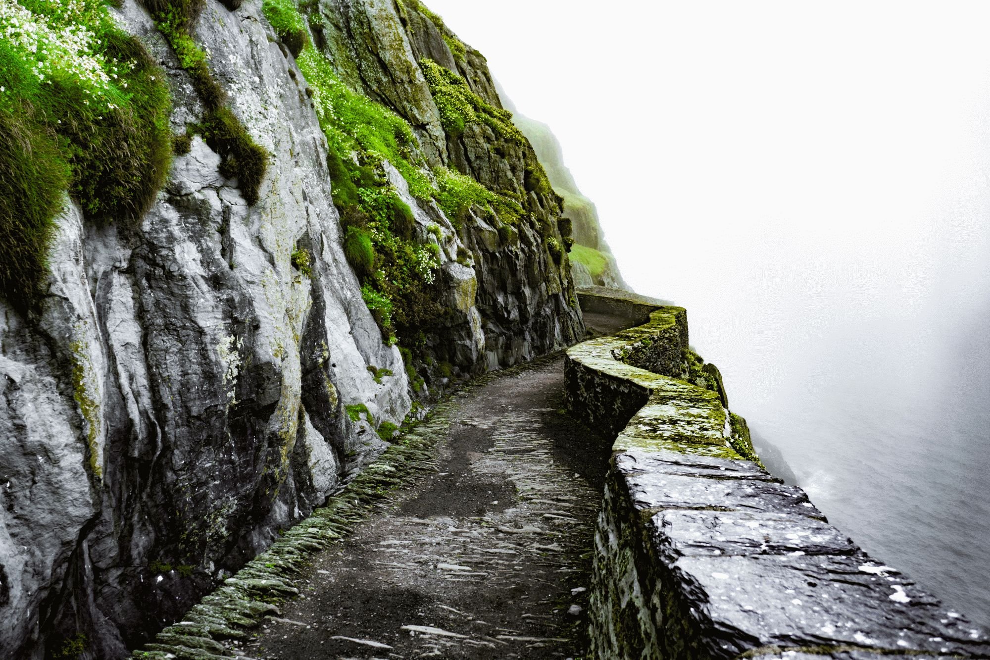 shutterstock_1395345350