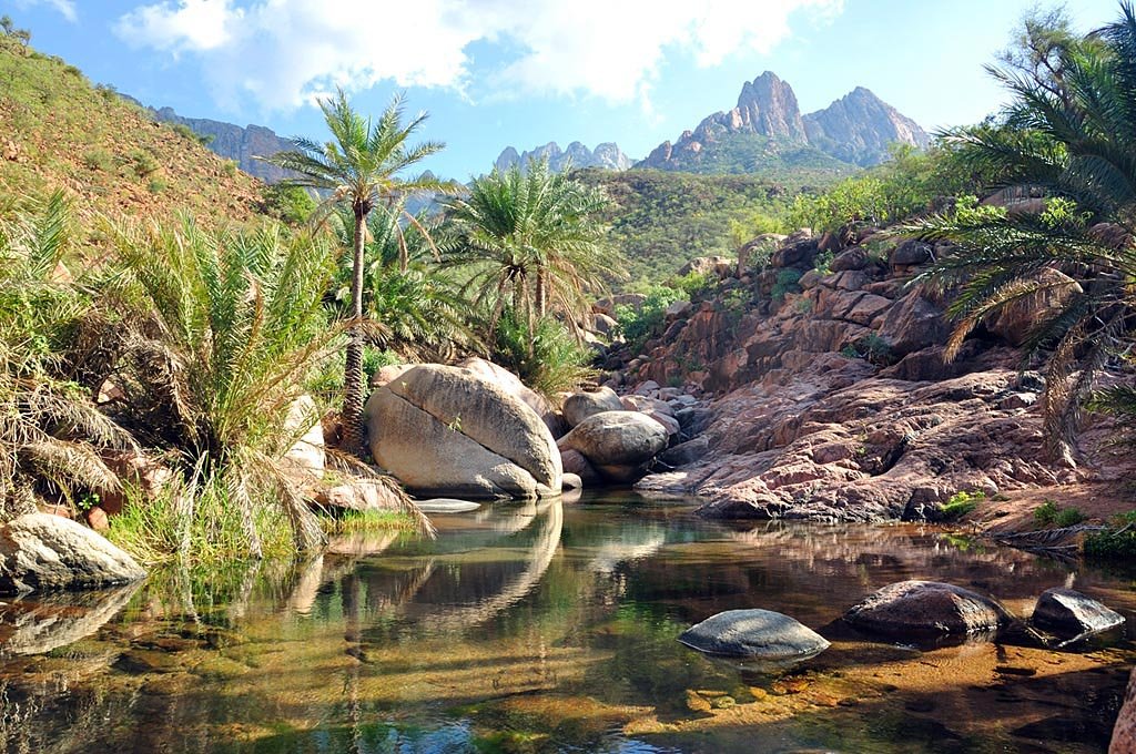 Socotra_-_panoramio_-_blackseav_(2)