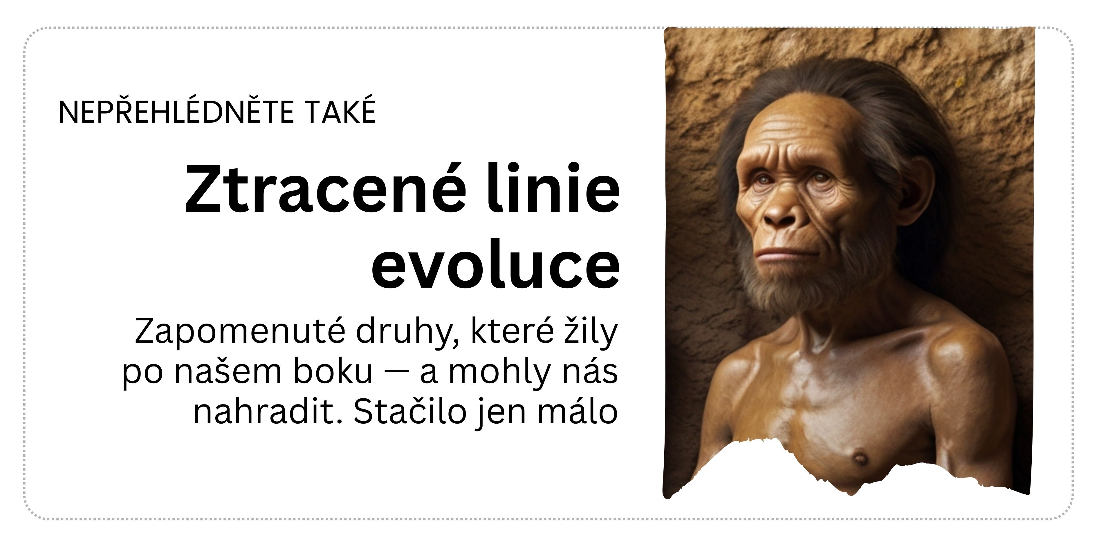 tip-enigma tip-enigma